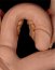Dildo Dublu Lovetoy "MegaXXL" 33 cm - Natural##
