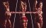 Sfoara Bondage Fetish Dreams "Bondage Rope" 3 Metri - Negru##