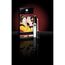 Shunga Divine Oral Pleasure Gloss#
