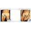 Vimax Ultra Plus 30 Bucati##