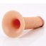 Strapon Barbati Pipedream »X-Tensions Fantasy Elite« 17 cm - Natural
