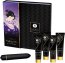 Set Shunga Naughty Geisha Kit cu Vibrator - vedere frontala