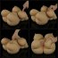 Papusa Silicon 3D Corp Femeie Streetgirl's Model 6, XXL Boobs