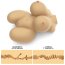 Papusa Silicon 3D Corp Femeie Streetgirl's Model 6, XXL Boobs