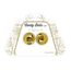 Bile Vaginale Palline Candy Balls Lux Gold Toyz4lovers2
