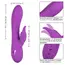 Vibrator Iepuras CalExotics California Dreaming Valley Vamp Purple