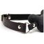 Calus sub forma de os de catel, Easy Dog Black