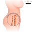 Papusa sexuala Intense Deep Touch Jesse Torso Double Vagina Anus - 25 cm