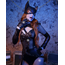 Costum Vixen, Leg Avenue, Pisica Rea