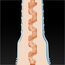 Masturbator Fleshlight, The Lexi Amakura Anime Girl