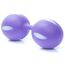 Bile Vaginale Smartballs PurpleBile Vaginale Smartballs Purple