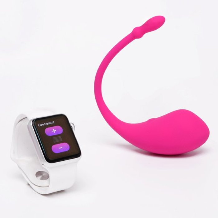 Vibrator Lovense Lush 1 - accesorii incluse