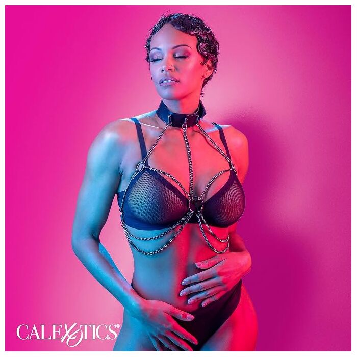 Harnasament cu Guler si Lant CalExotics - model