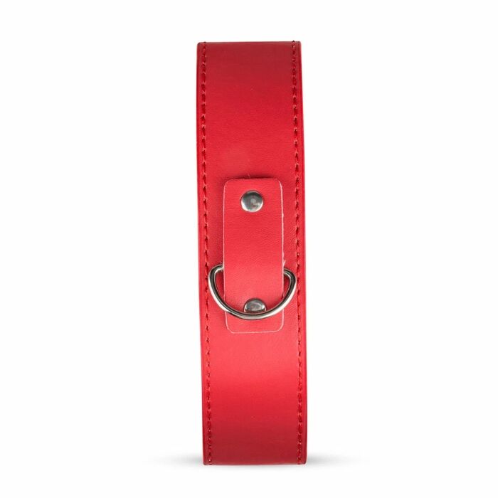 Set BDSM Crimson Dream - detaliu guler cu lesa detasabila