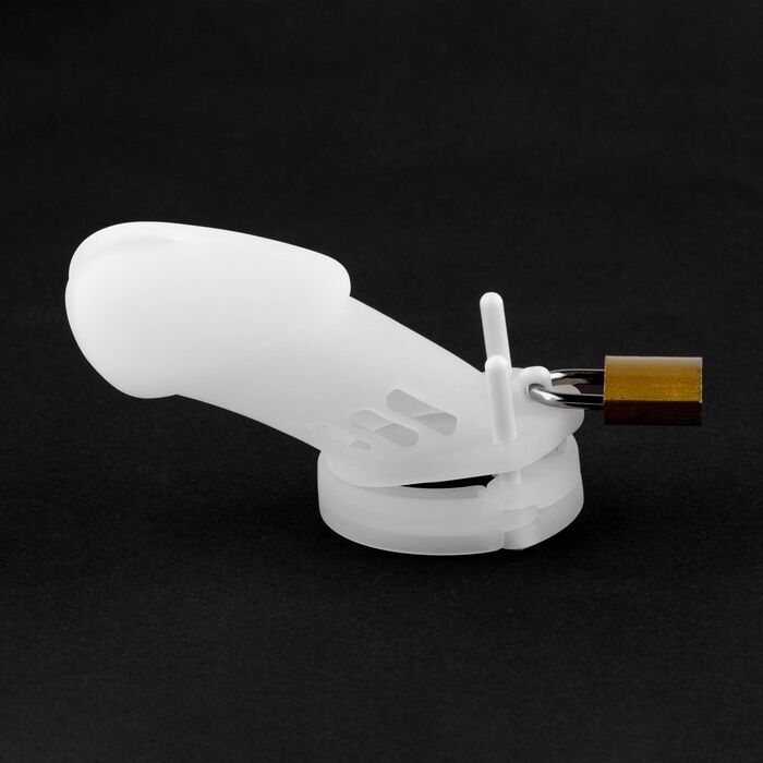 Centura de Castitate din Silicon, vedere suplimentara 2
