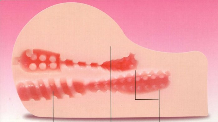 Masturbator 3D cu Vibratii si Comanda Vocala - dimensiuni complete