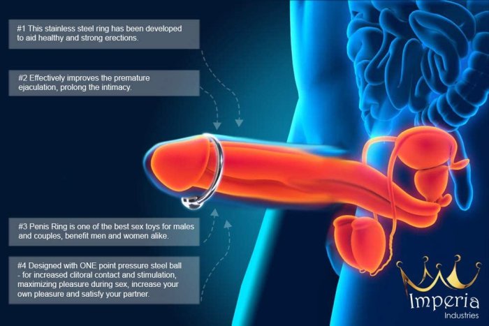 Inel Penis din Metal cu Bila - detaliu finisaj