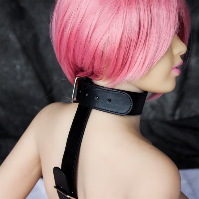 Sistem Imobilizare Catuse Maini si Gat, Collar Restraint - vedere frontala