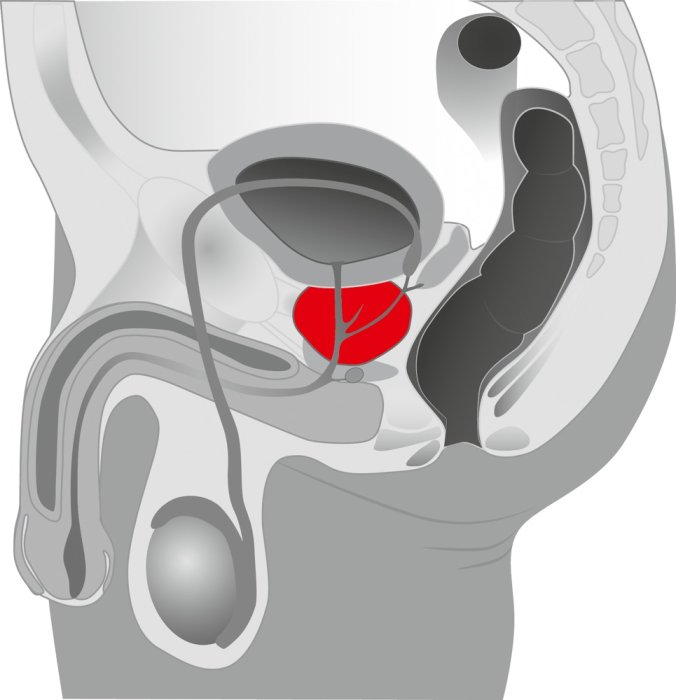 Stimulator Proatata Joel Kaplan »Versatile Prostate« 13,5 cm - Negru