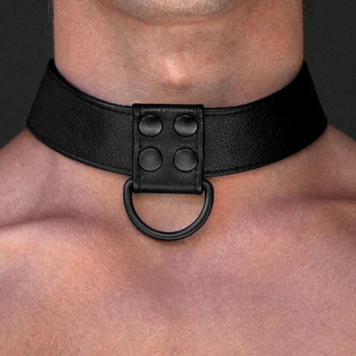 Zgarda cu lesa piele ecologica, negru, unisex#