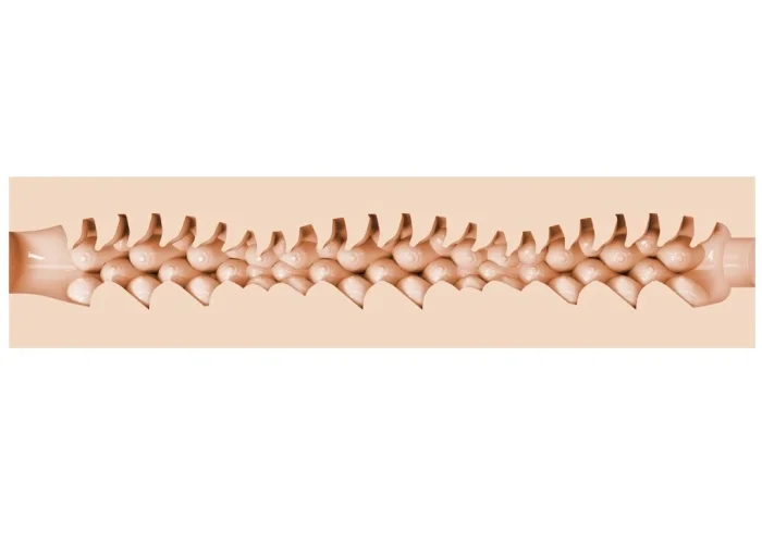 Masturbator Fleshlight "Evie Akashiya" 25 cm - Natural##