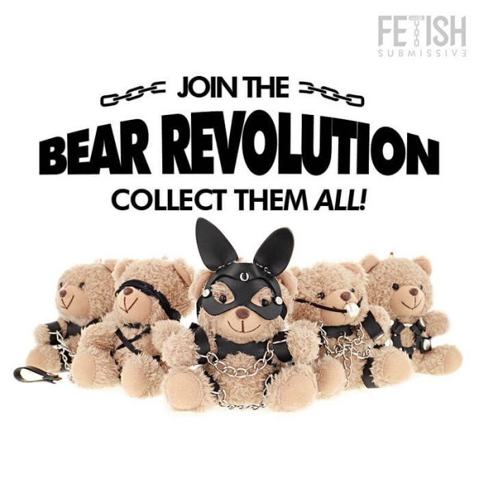 Ursulet Fetish Submissive Mishka Teddy Bear, BDSM, Model 5 - accesorii incluse