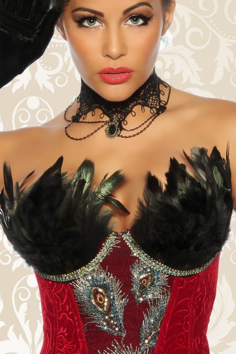 Burlesque Corset Catifea#