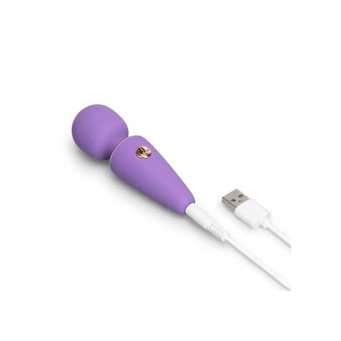 Vibrator Mini Micro Le Wand Le Wand - Violet